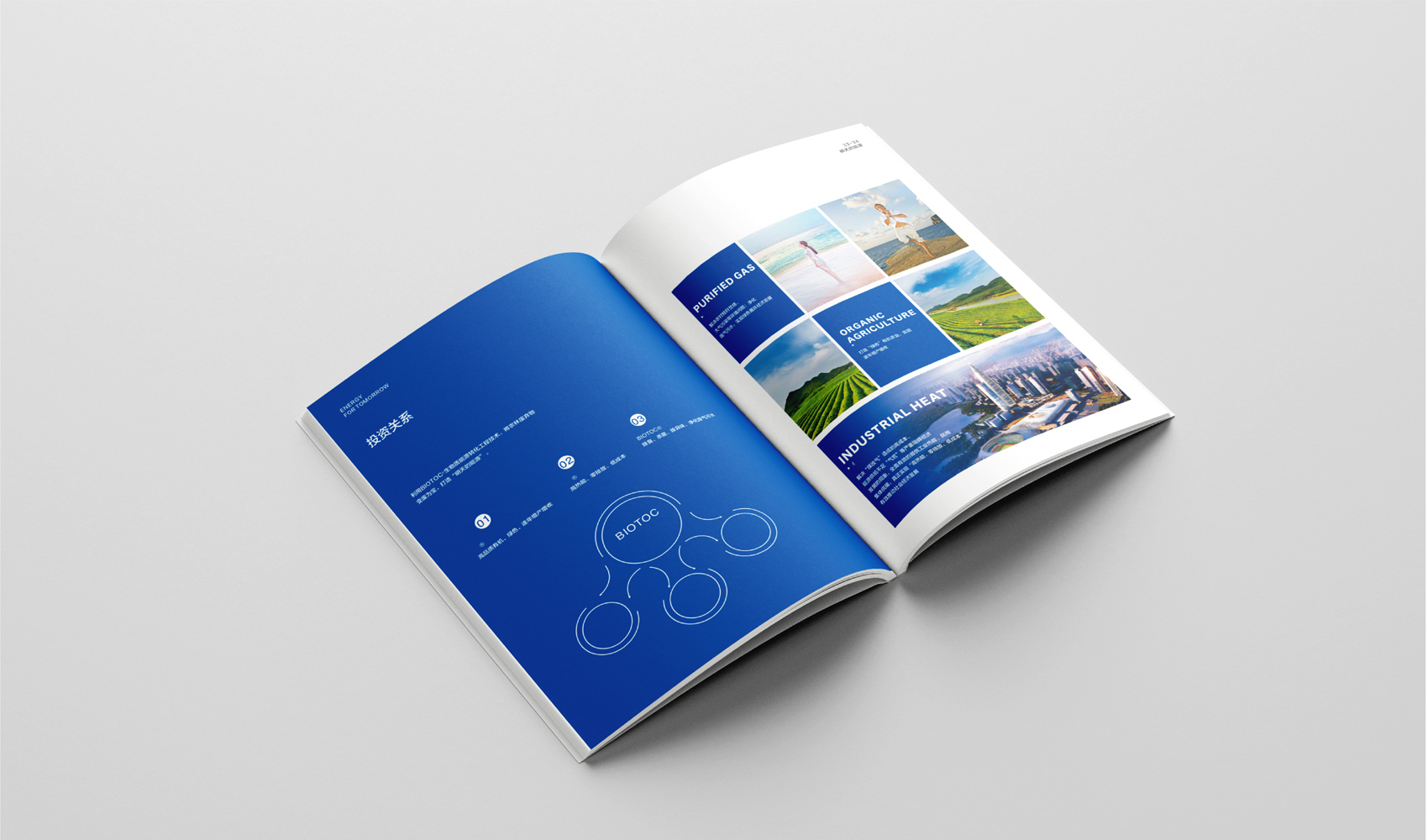 博顿科技企业画册设计